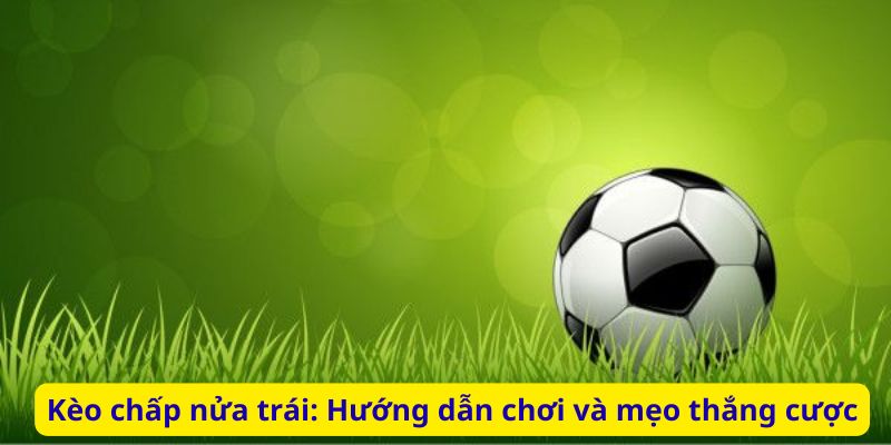 Tìm hiểu kèo chấp nửa trái bongvip, hướng dẫn cách đọc kèo, cách tính thắng thua và bí quyết đặt cược hiệu quả giúp bạn nâng cao tỷ lệ chiến thắng.