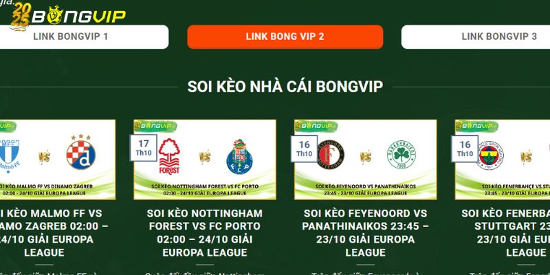 BongVip