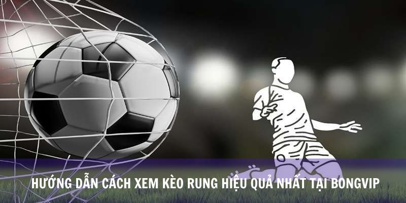 Hướng Dẫn Cách Xem Kèo Rung Hiệu Quả Nhất Tại Bongvip